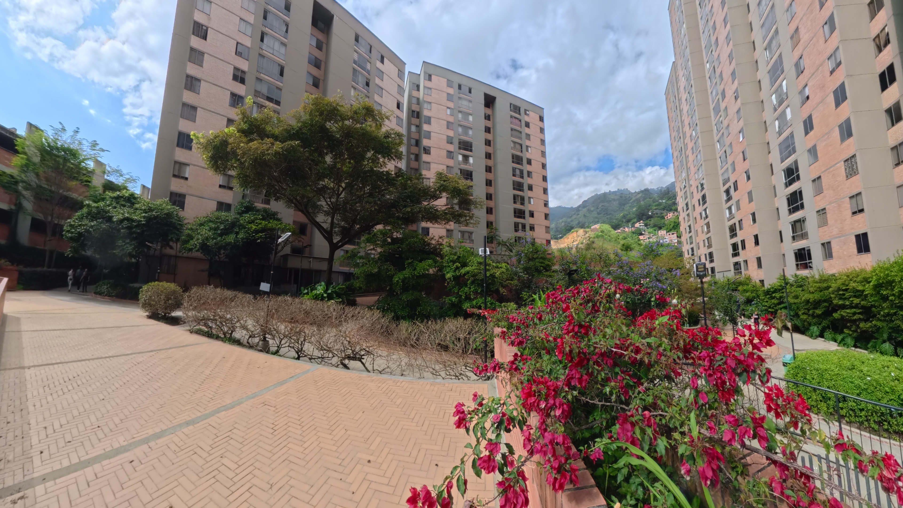 Majagua 2165 Torre 5 - Imagen 21