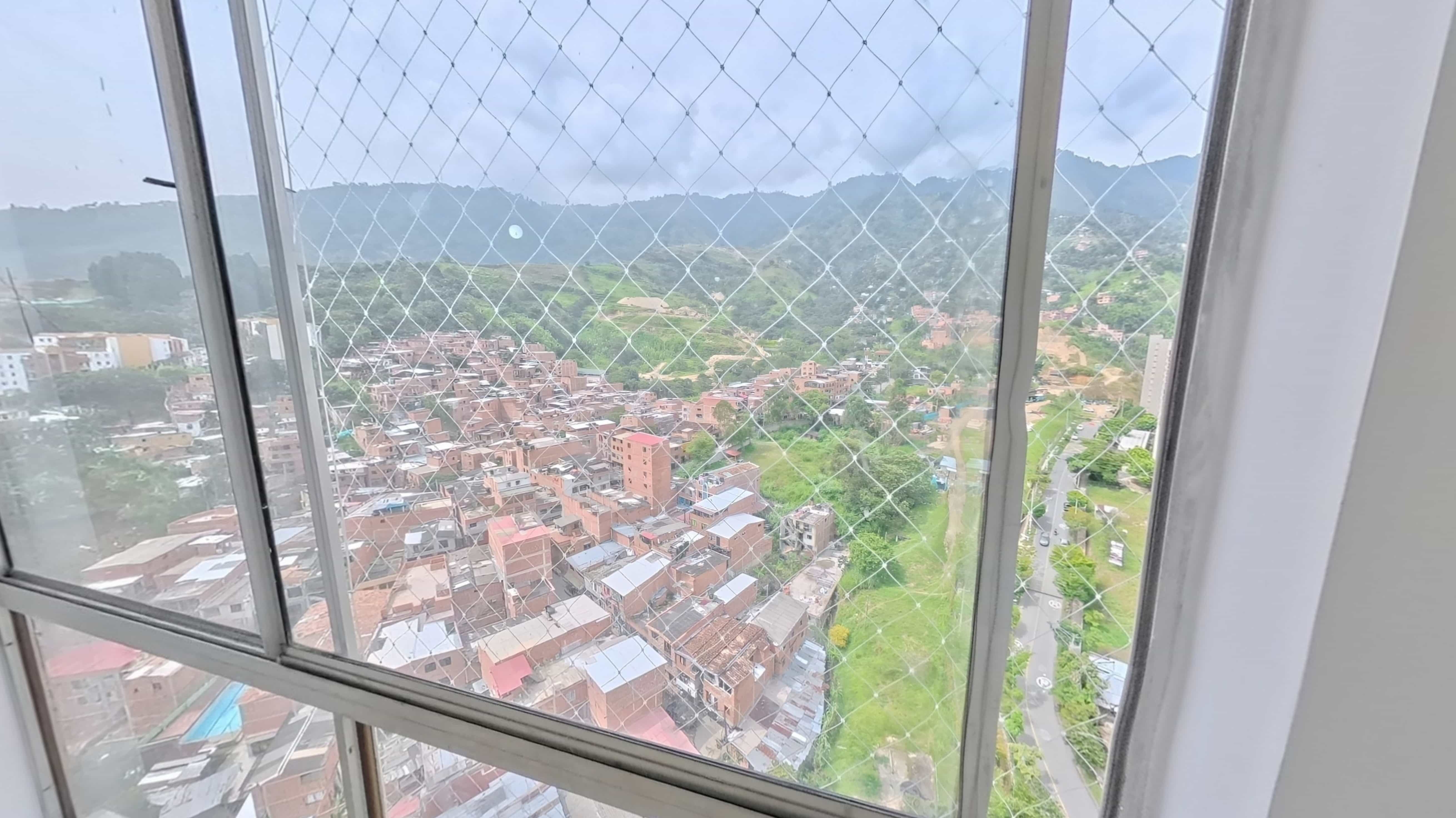 Trigales 2435 - Imagen 11