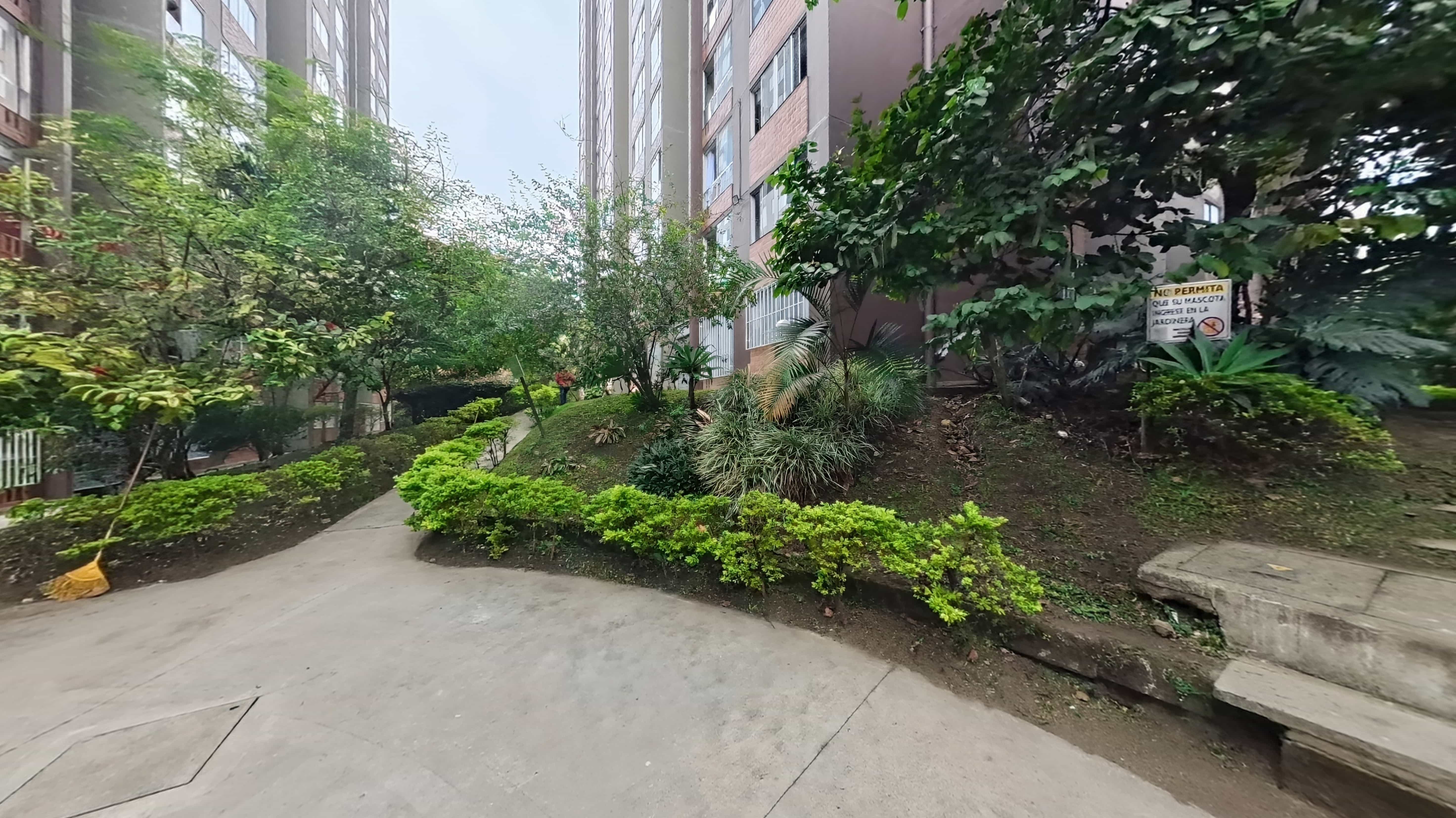 Trigales 2435 - Imagen 18